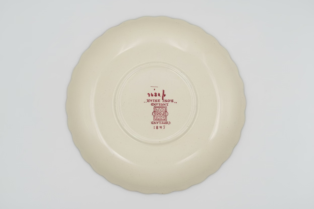 Copeland Spode English china plate Rose Briar design